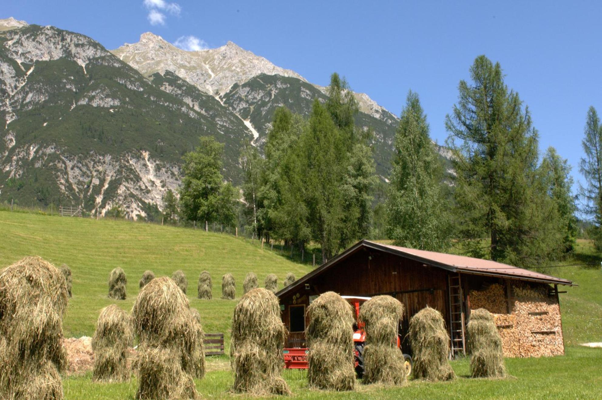 Haus Elisengrund Am Geigenbuehel - Chalet Prive Seefeld in Tirol Exterior photo